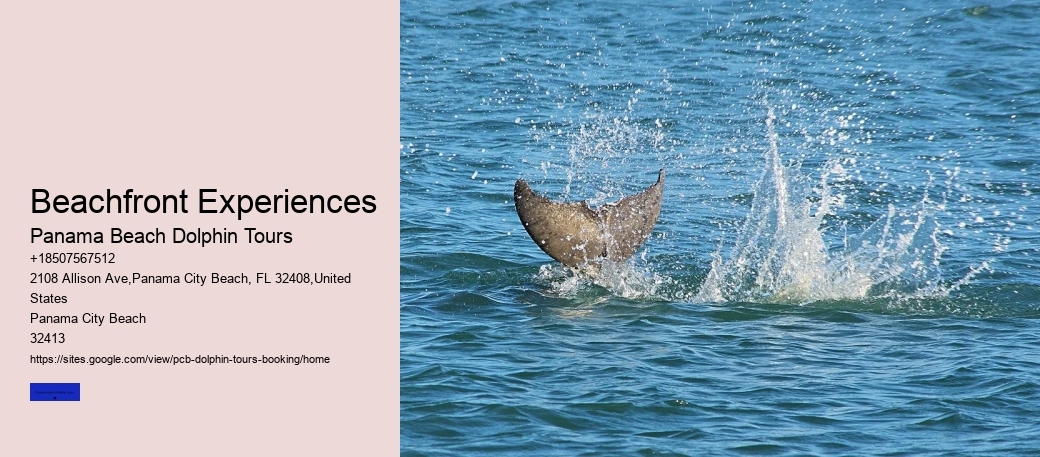 Beachfront Experiences