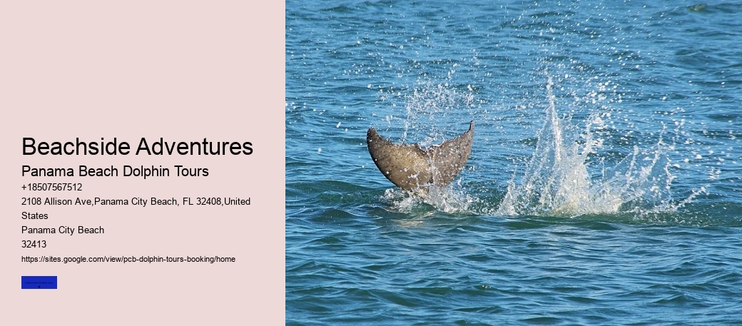 Shell Island Dolphin Tours Panama City Beach