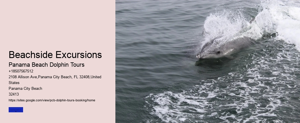 How Much Is The Average Dolphins Ticket