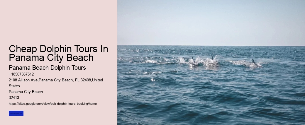 Cheap Dolphin Tours In Panama City Beach