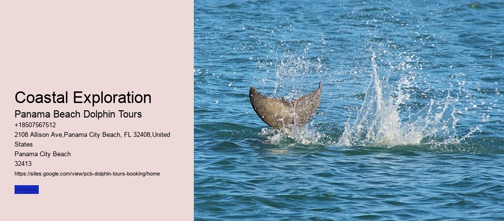 Do Dolphins Have A Dark Side