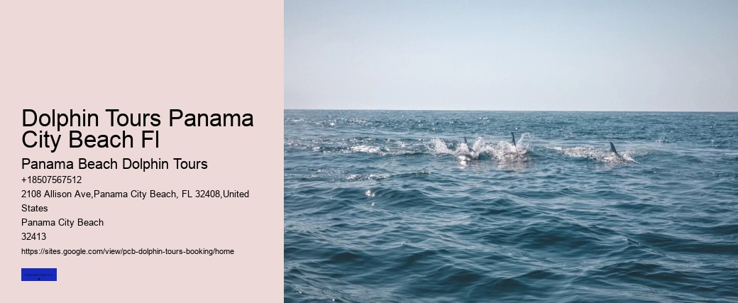 Dolphin Tours Panama City Beach Fl