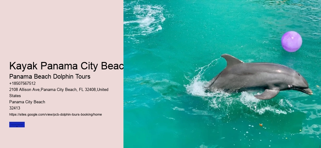 Best Panama City Beach Dolphin Tours Booking