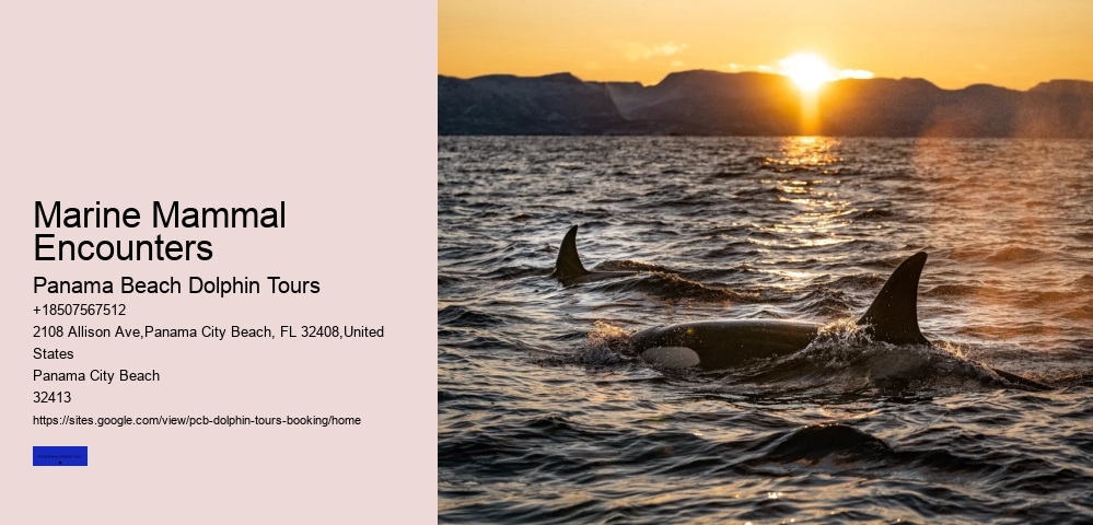 Dolphin Discovery Centre