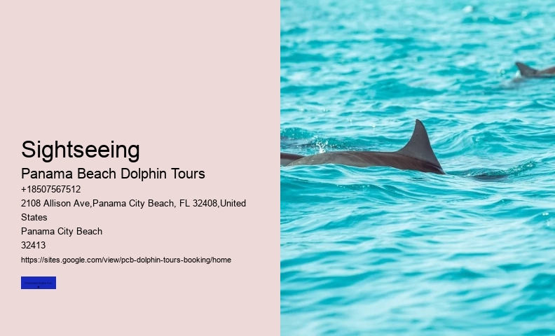 Best Beach Dolphin Tours Booking